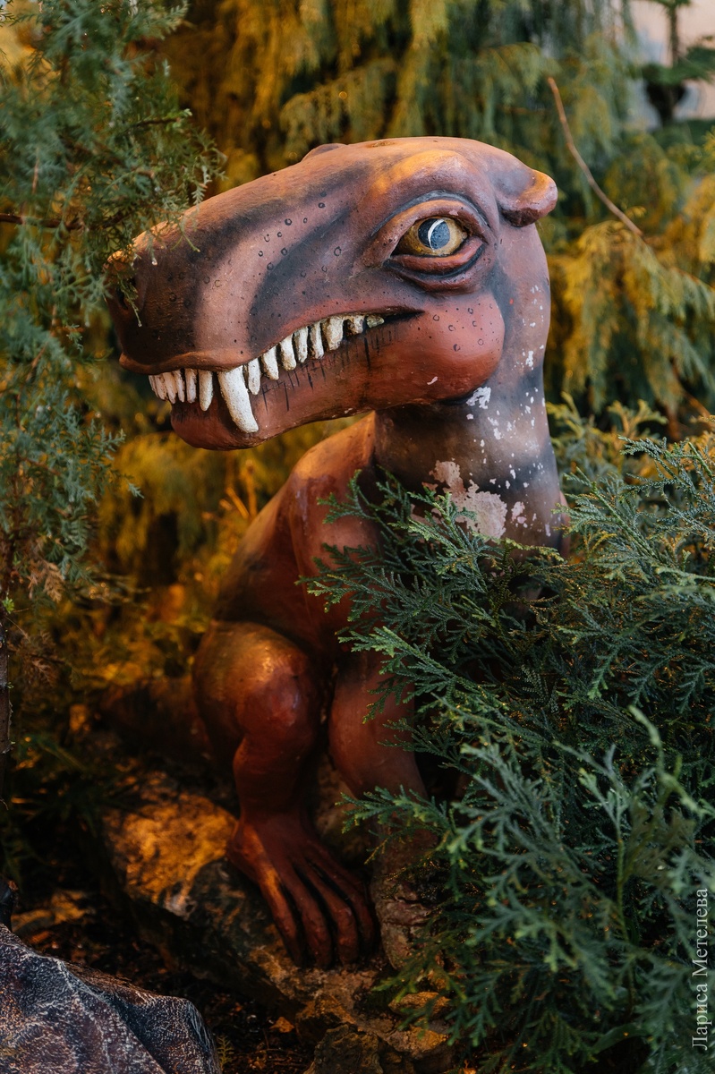 Фото: Лариса Метелева