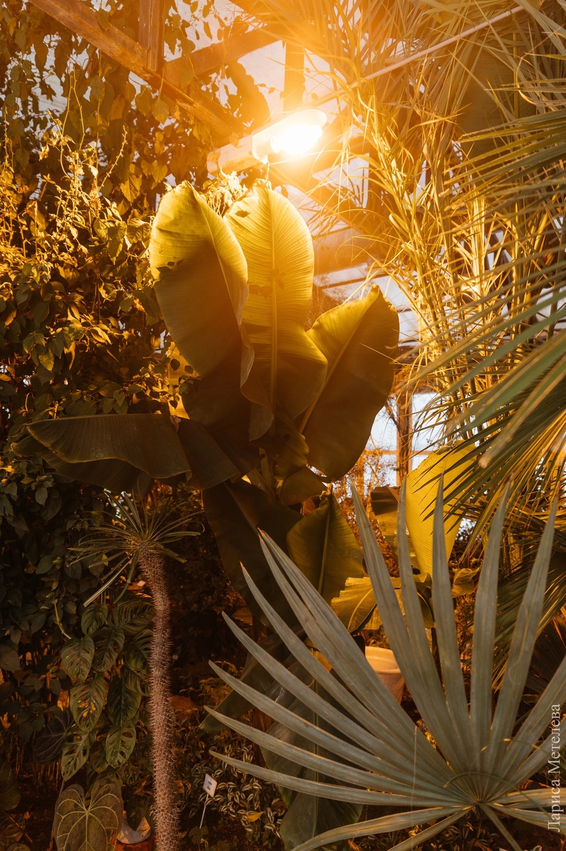 Фото: Лариса Метелева