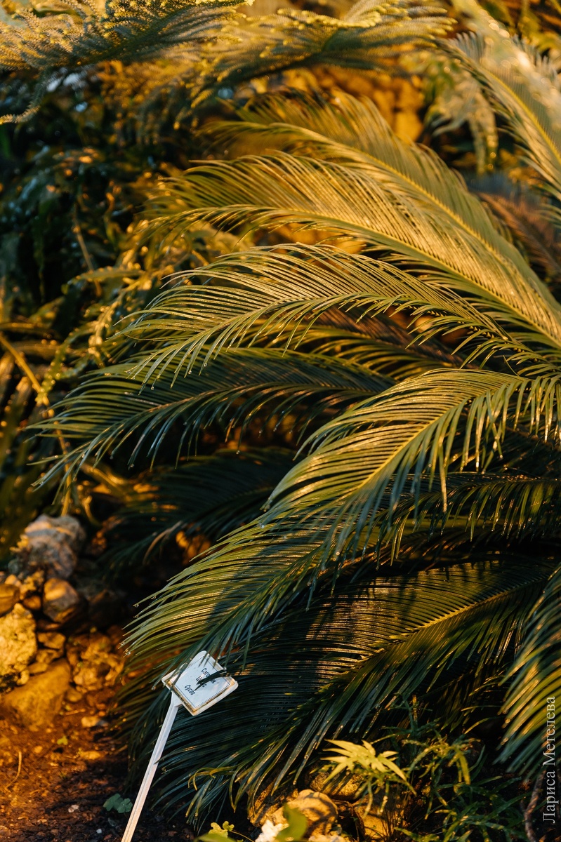 Фото: Лариса Метелева