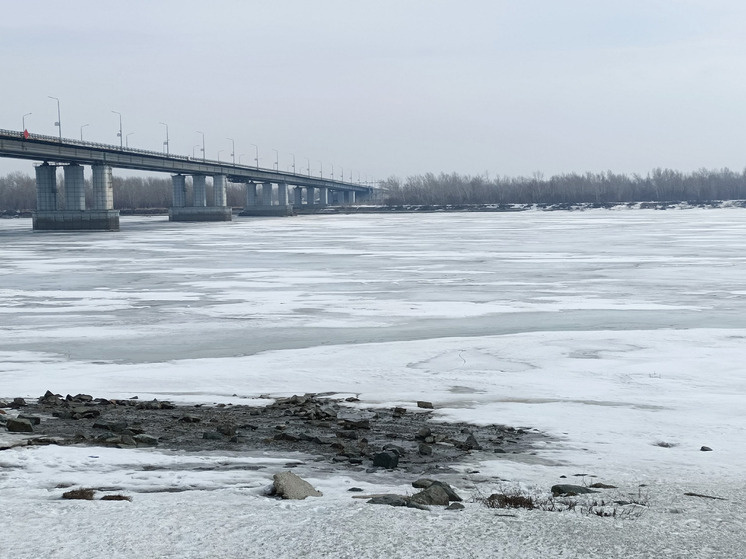     Фото: Анастасия Полторацкая / МК на Алтае