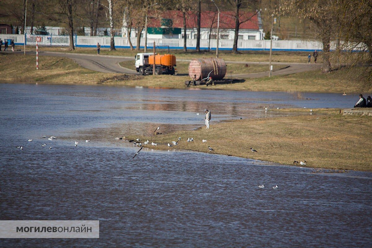  © МогилевОнлайн