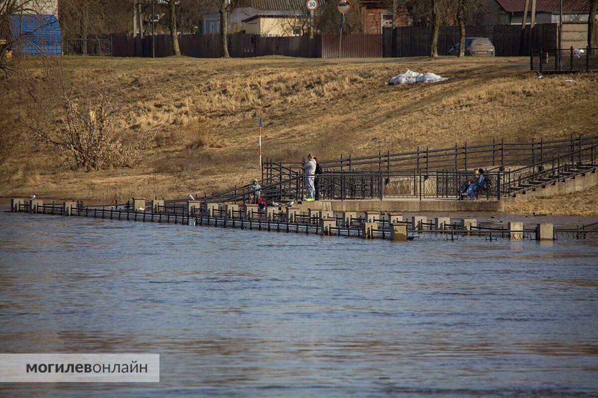  © МогилевОнлайн