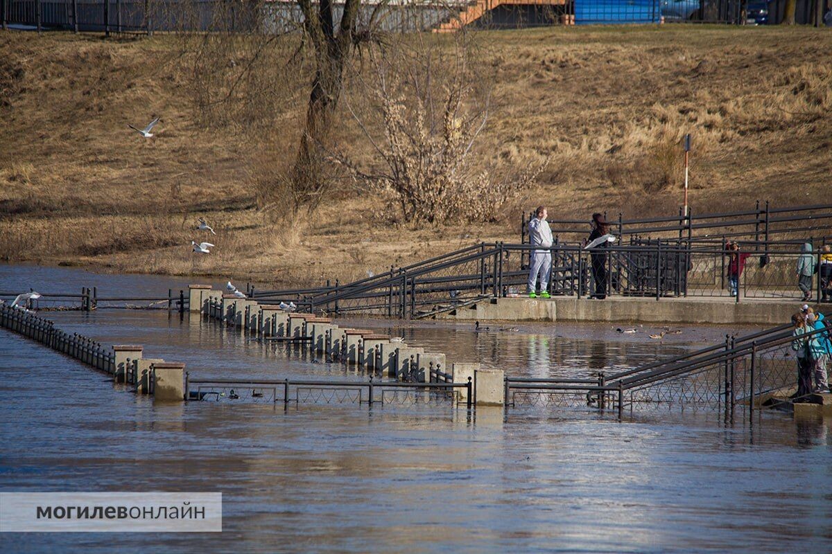  © МогилевОнлайн