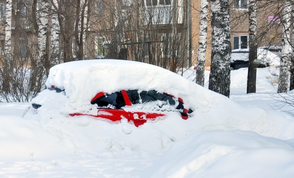    Фото: Константин Седегов, ПН