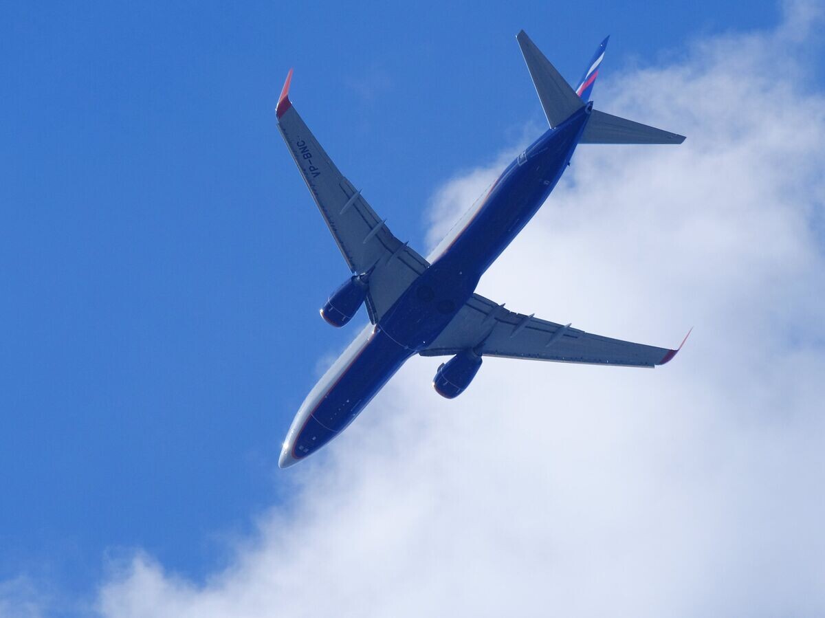    Самолет Boeing 737 авиакомпании "Аэрофлот"© РИА Новости . Наталья Селиверстова