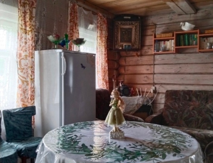 Вот моя деревня/ покатались на вездеходе/ без света/ без интернета