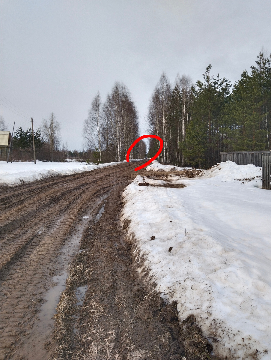 Март 2026 год.