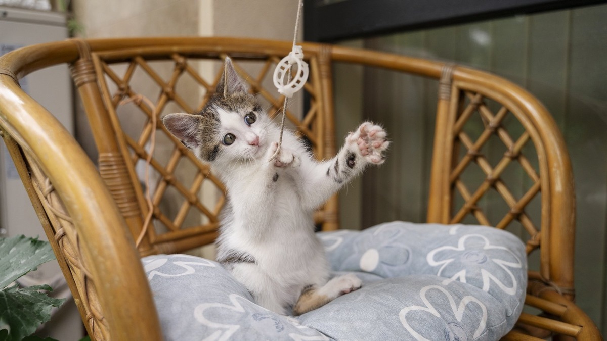    Охотничье прошлое навсегда определяет манеру игры