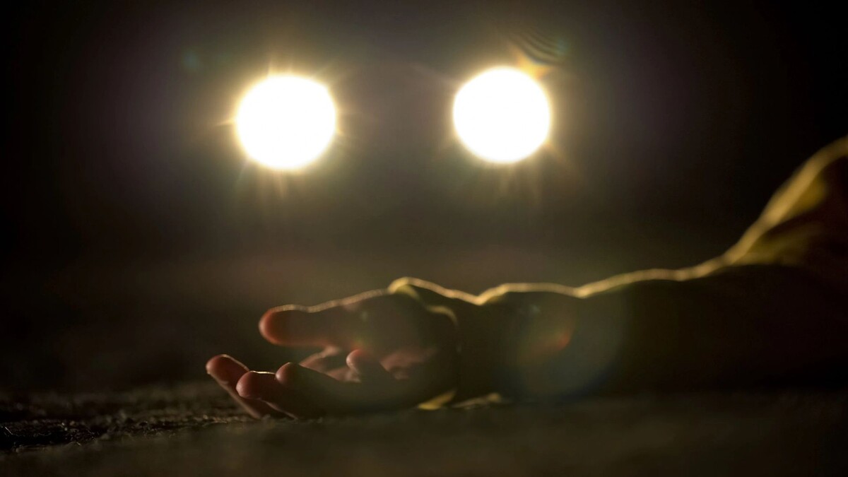    Фото:Motortion Films/Shutterstock/Fotodom