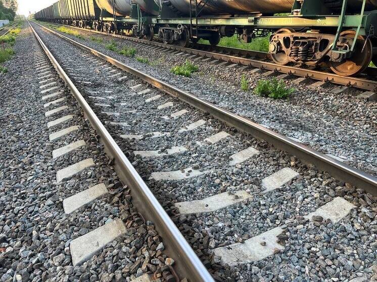     Фото: архив МК в Питере