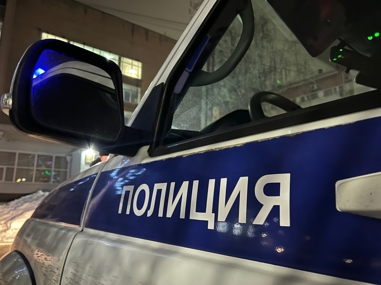   Екатерина Царева