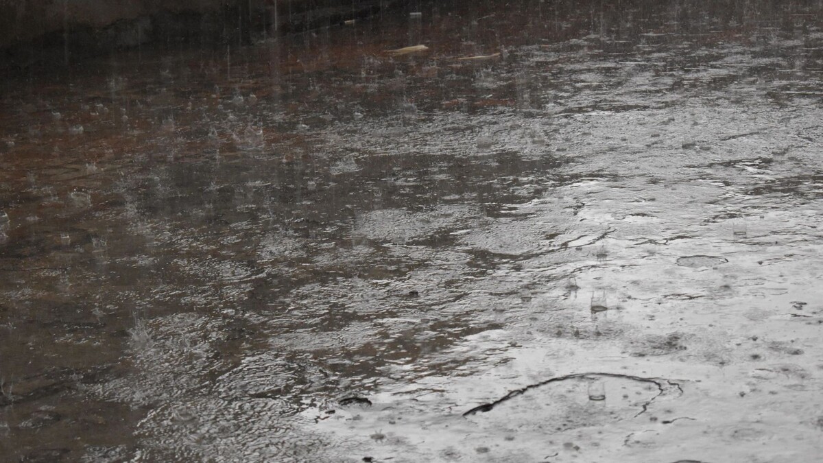    Фото:Mohammad Buraq/Shutterstock/Fotodom