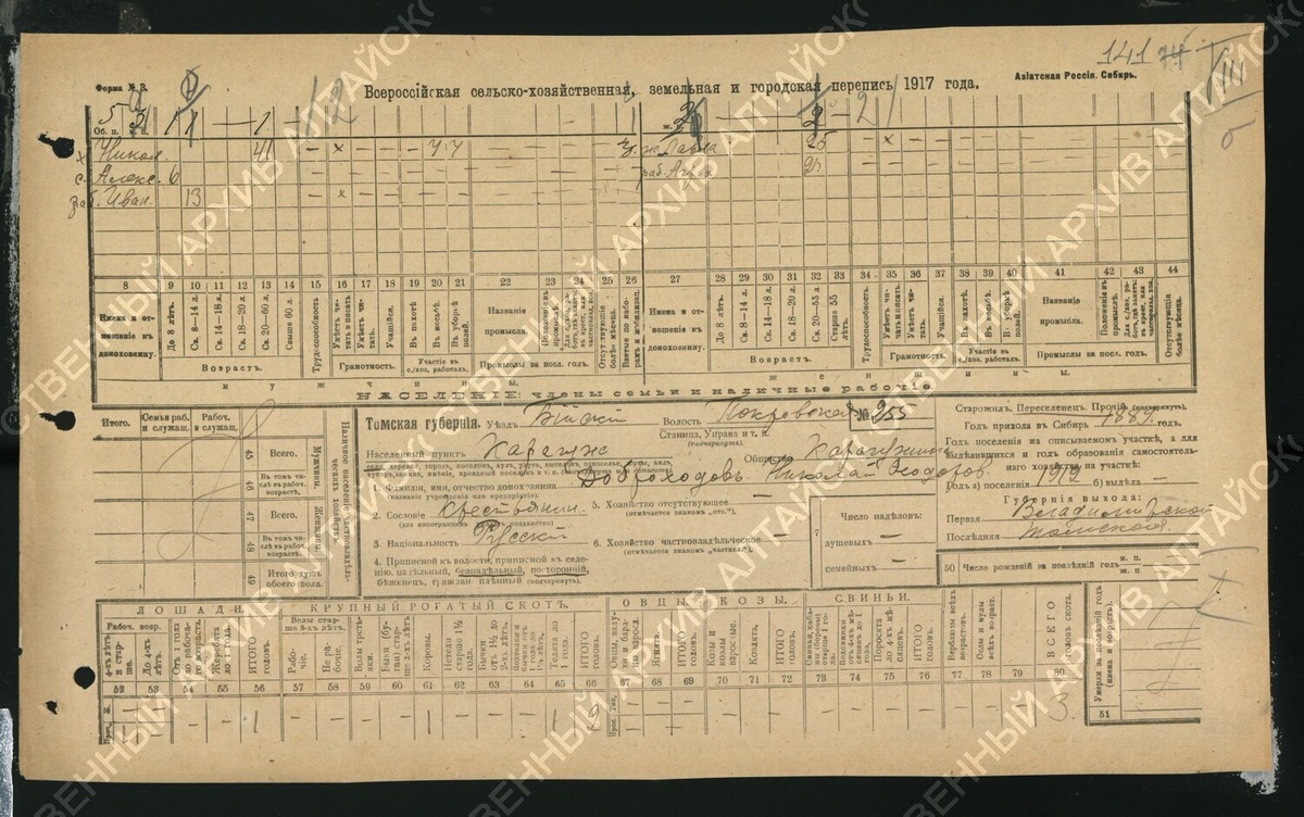 Переписная анкета 1917 года, ГААК Ф. 233 Оп. 1 А Д. 448