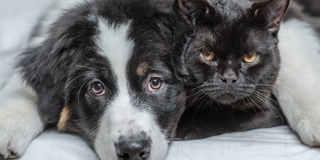 Мы же теперь друзья?