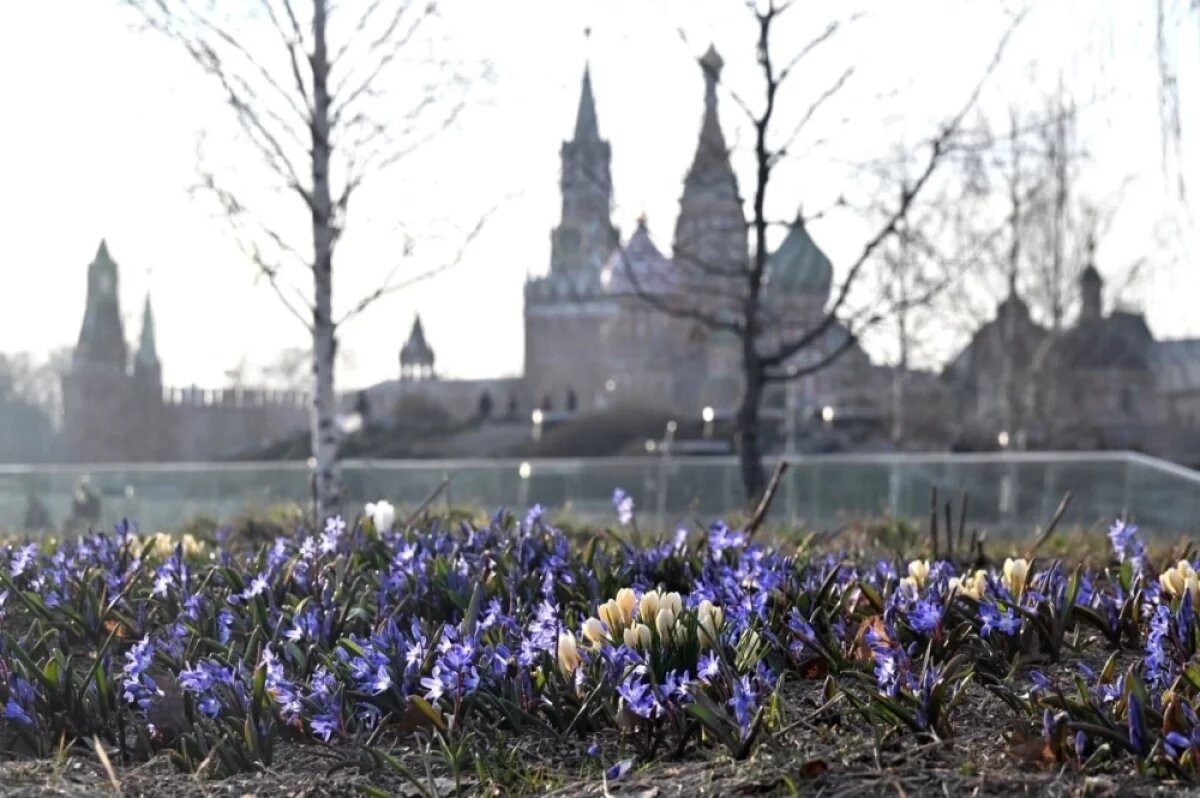    В Москве 29 марта стало самым тёплым днем с начала года