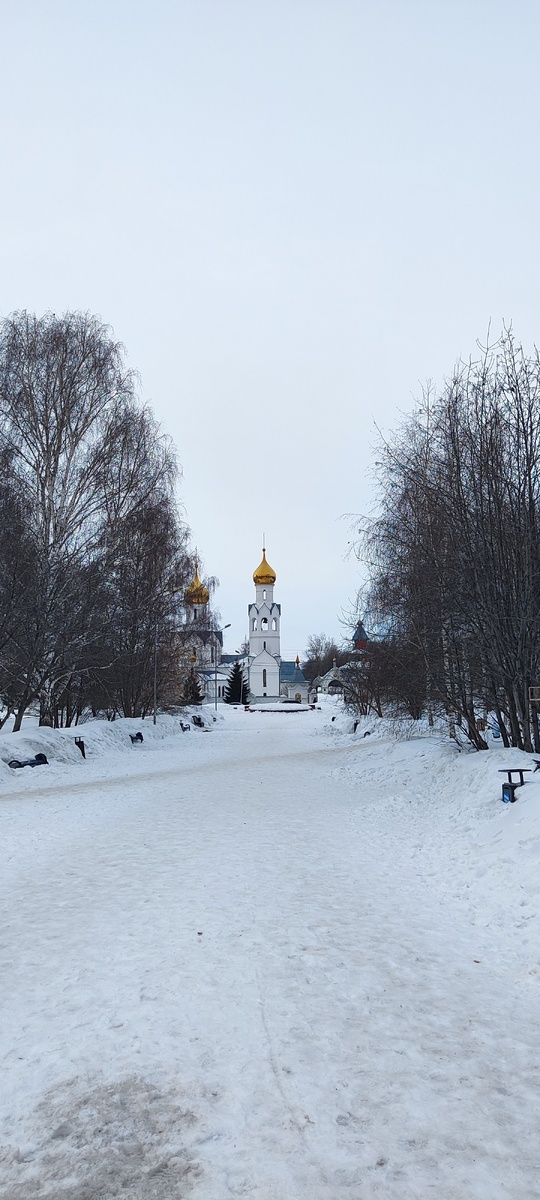 Возле ДК Приморский. ОбьГЭС. Какая красота. Март 2026.