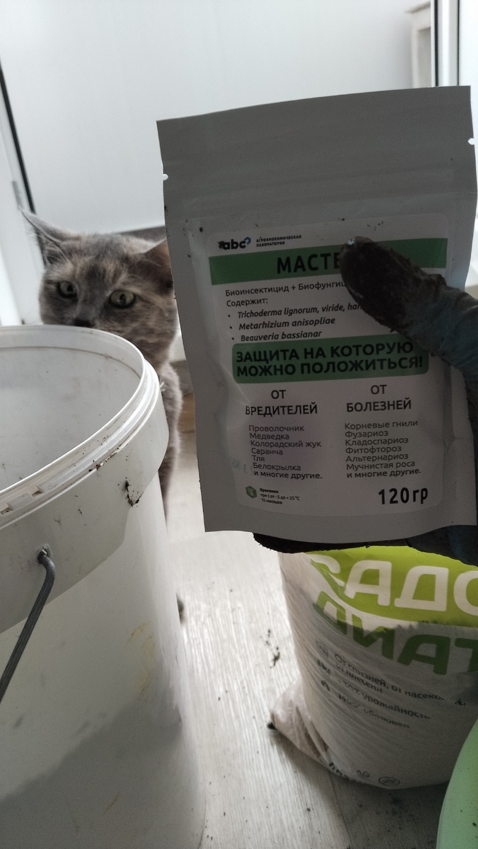 Помощница в огородных делах.. 👍