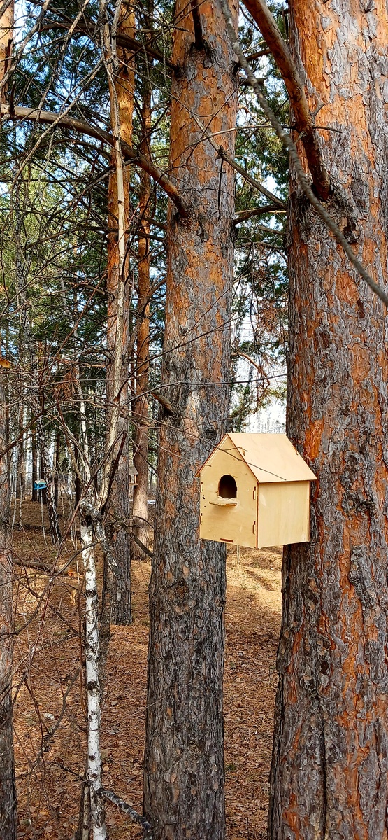 "Доброе утро, мир! Ты прекрасен!" Фото автора