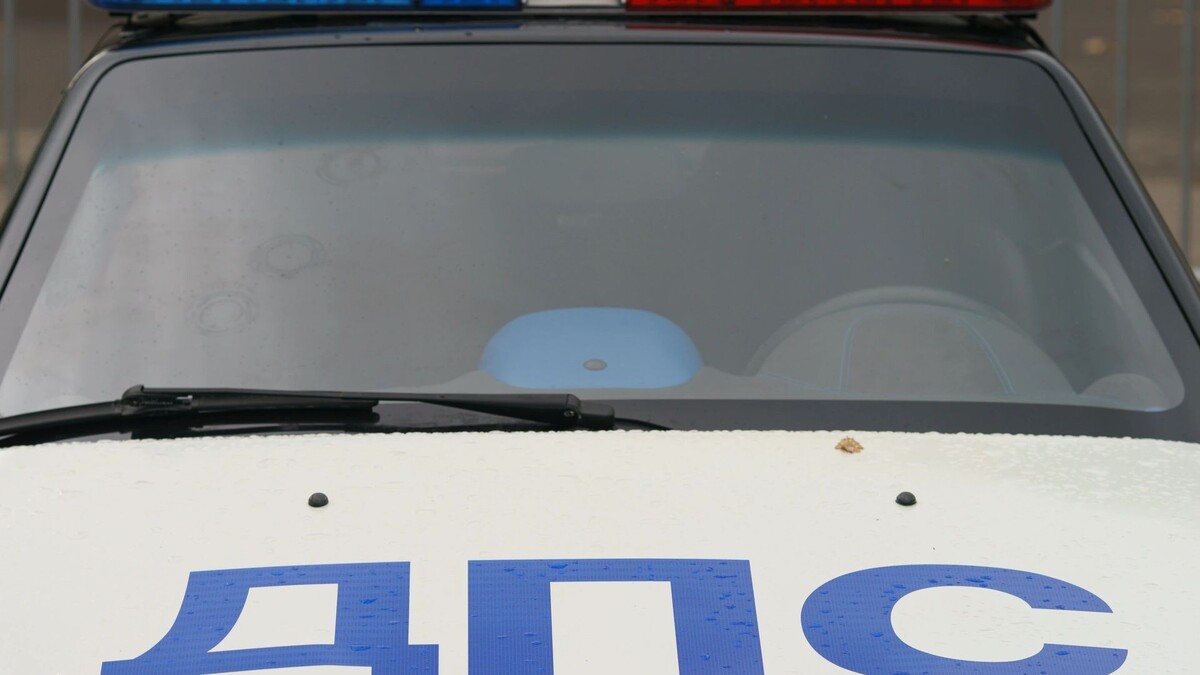    Фото: YuryKara/Shutterstock/Fotodom