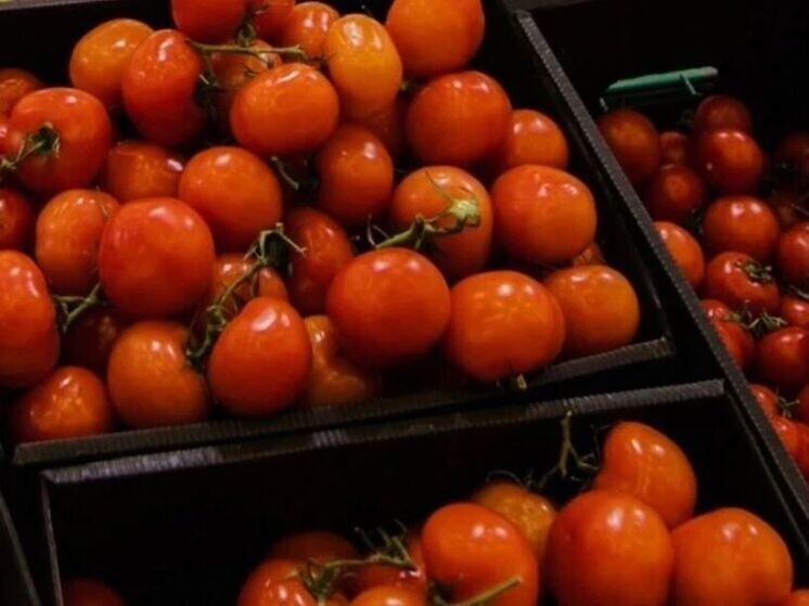     Фото: алтайский Россельхознадзор