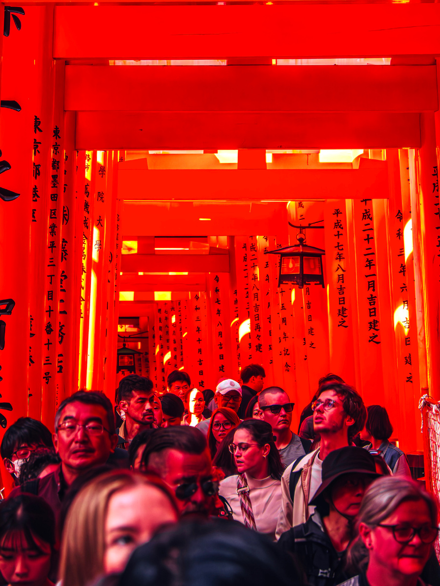 Автор статьи и фото: Алексей Моисеев / Фотозаписки партизана / @partyzzzan