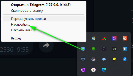 настройки TG WS Proxy