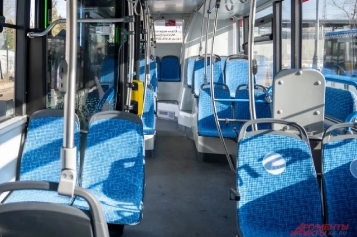    В Омске за руль муниципальных автобусов всё чаще садятся женщины