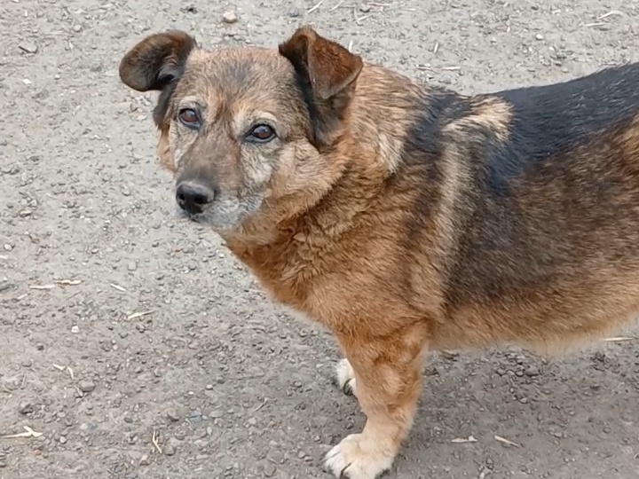 Прогулка, цены подорожали и Весна пришла!