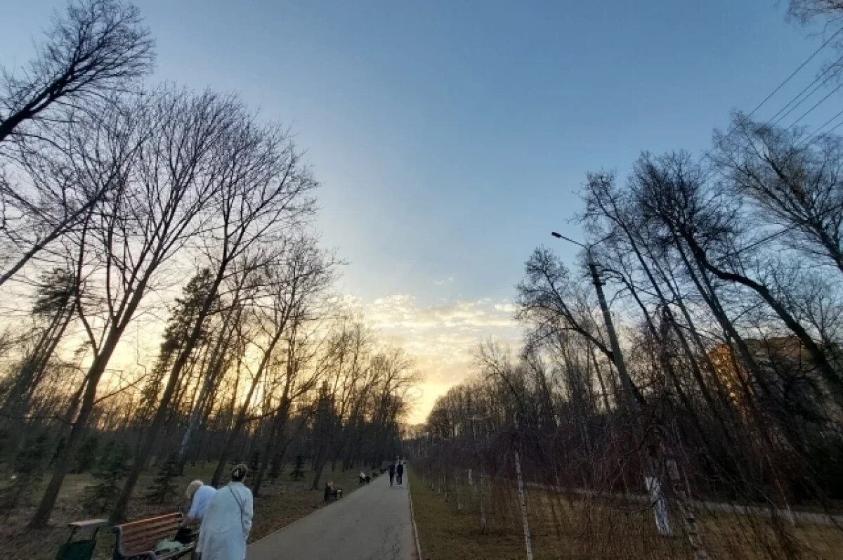    30 марта в Туле прогнозируют малооблачную погоду и до +13℃