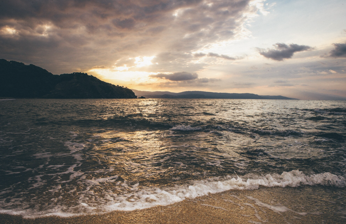 Автор: wirestock