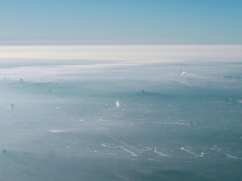     Фото: pexels.com