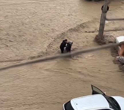 скриншот с видео