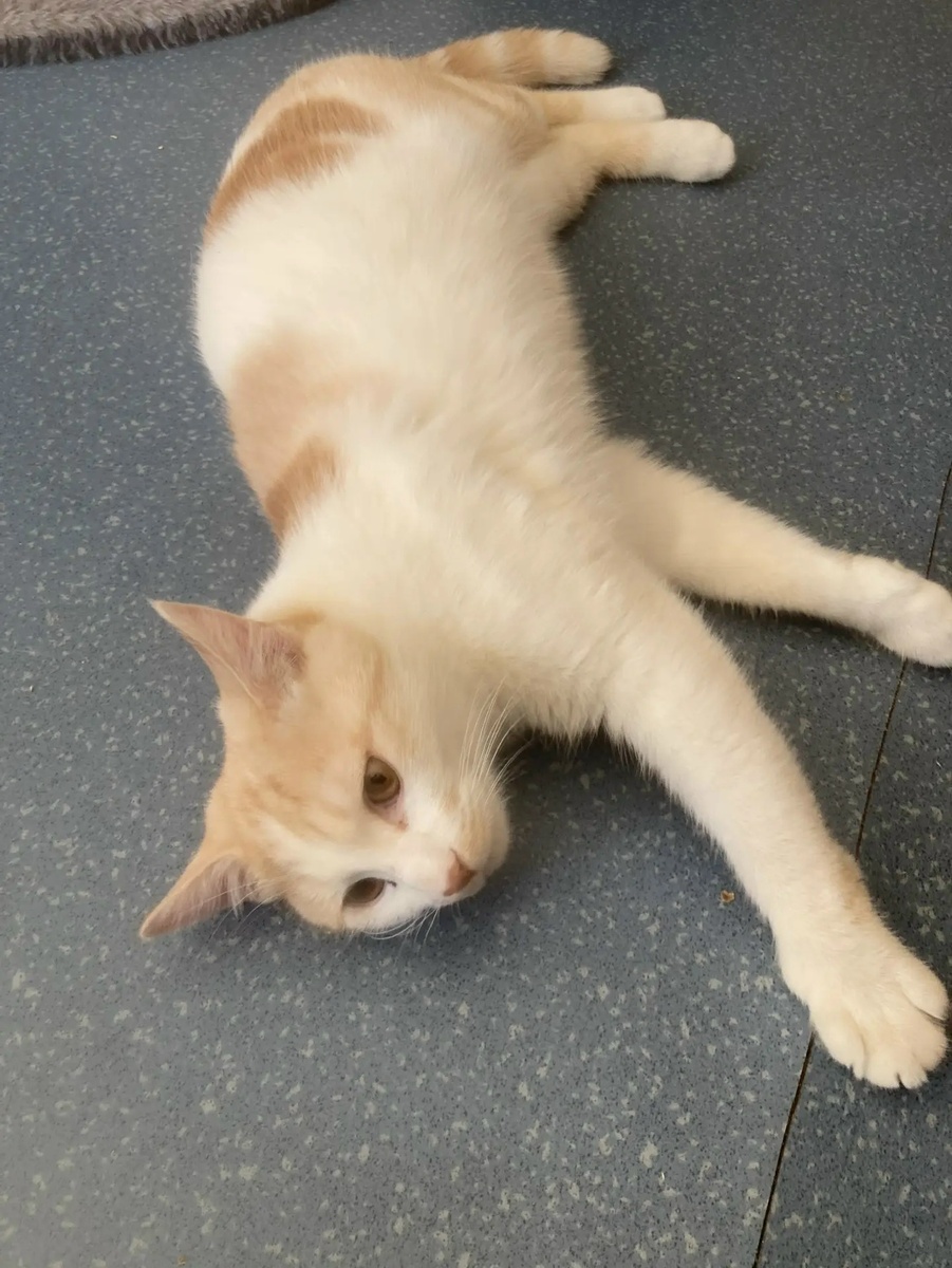 Сенечка расслабился