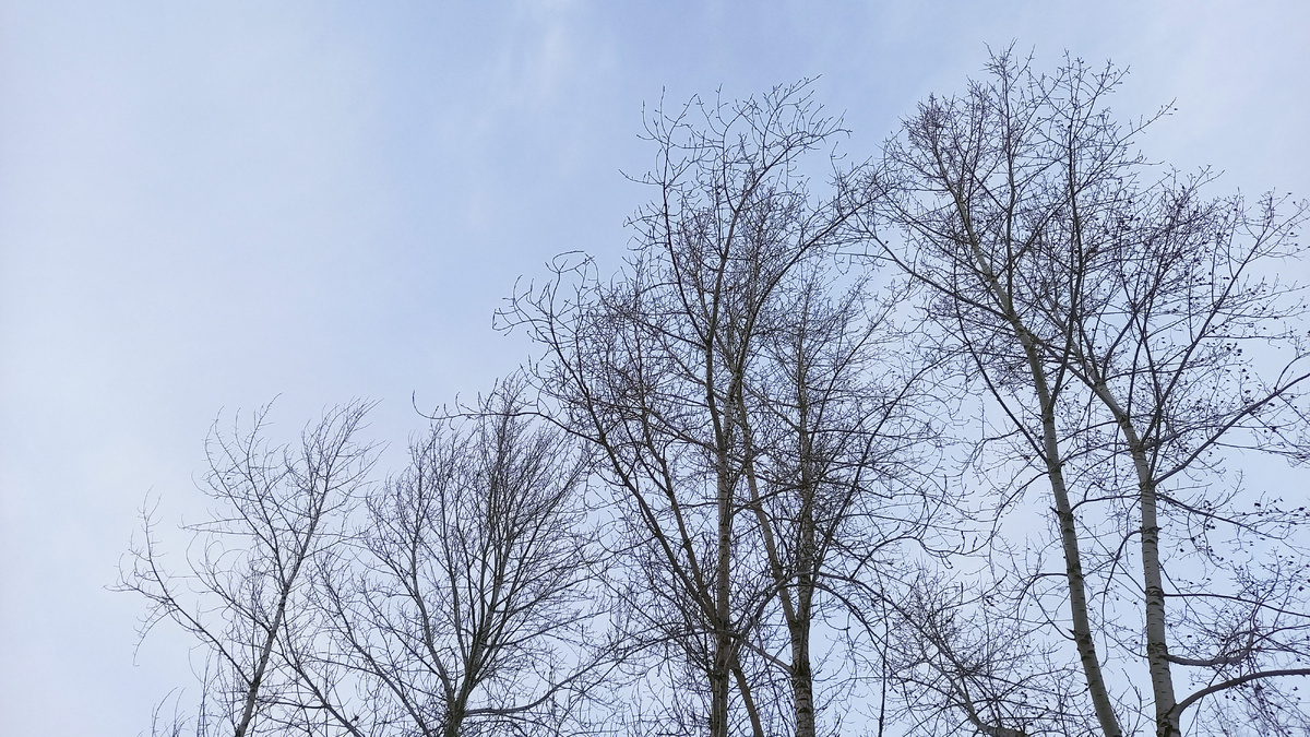     Потепление до +5 и мокрый снег обещают красноярцам на первой неделе апреля