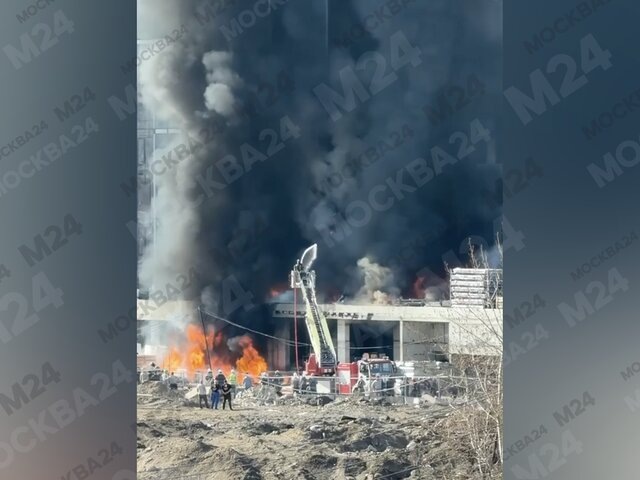    Фото: Москва 24