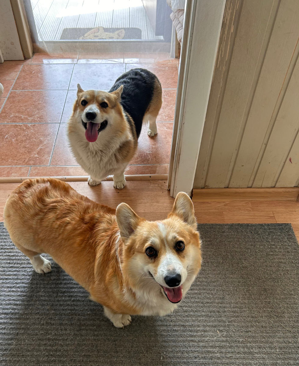 Улыбаки! 😊