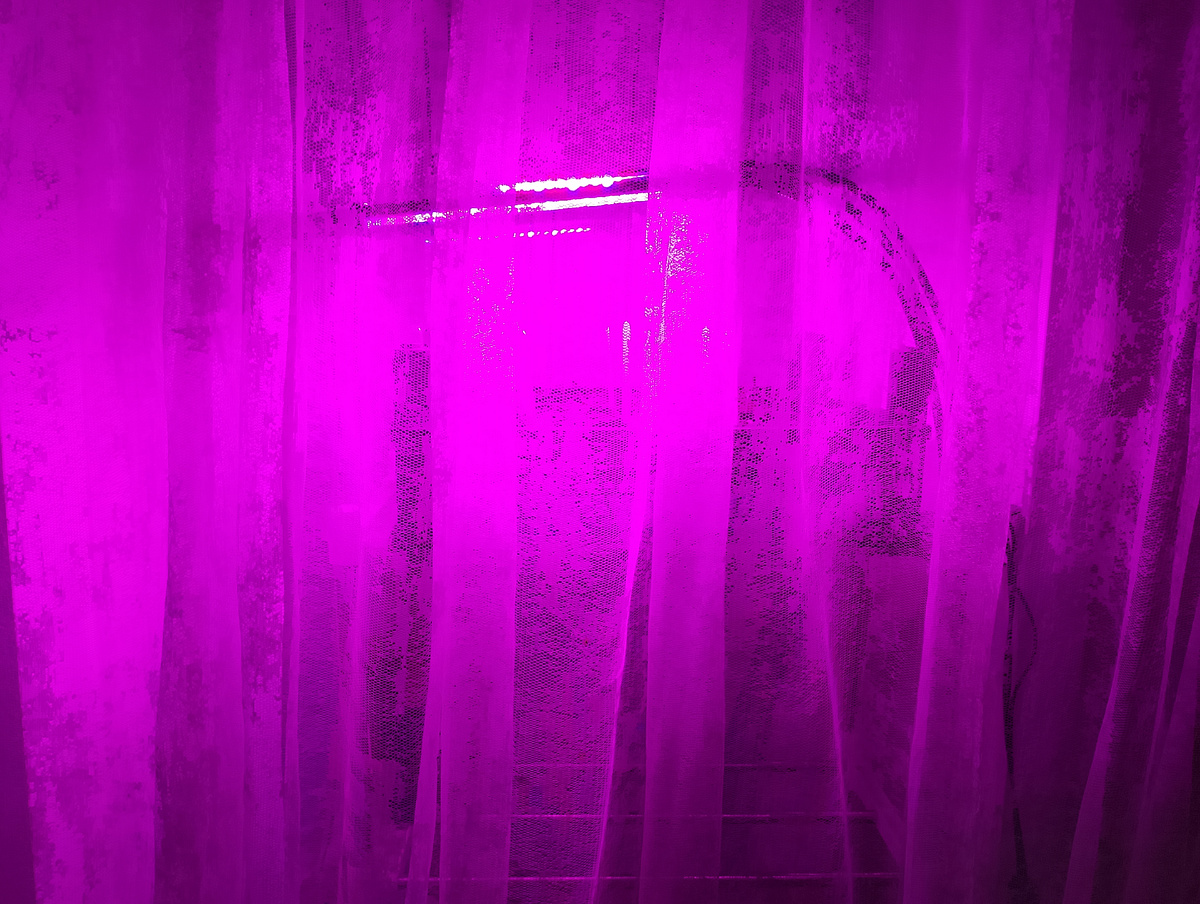 Здесь на верхнем ярусе малыши- томаты живут, внизу герани расположились. Ещё на одном окне тоже стоят под малиновым светом плошки с томатами