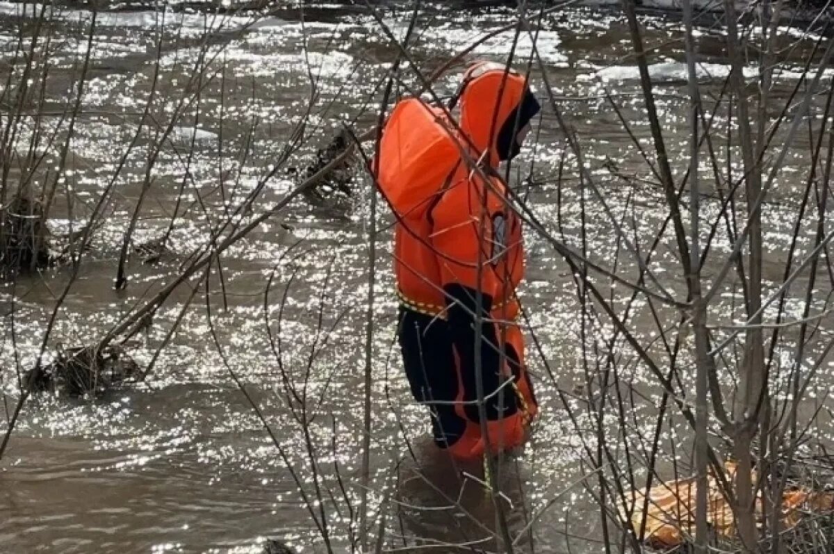    В Октябрьском районе ищут упавшего в Елшанку мальчика