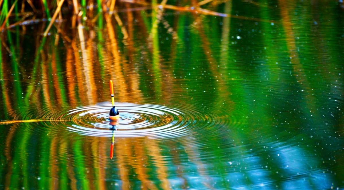 Душа поет - когда клюет