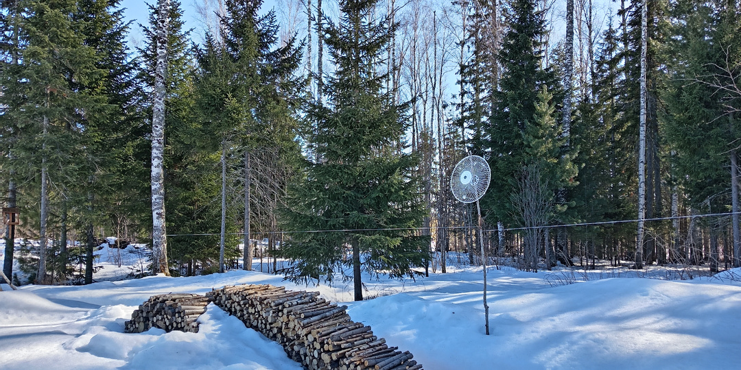 Март, дача и наши сегодняшние задачи