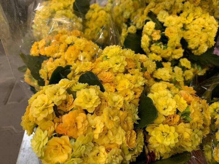     Исполнитель должен сам вырастить рассаду. Фото: Архив МК в Великом Новгороде