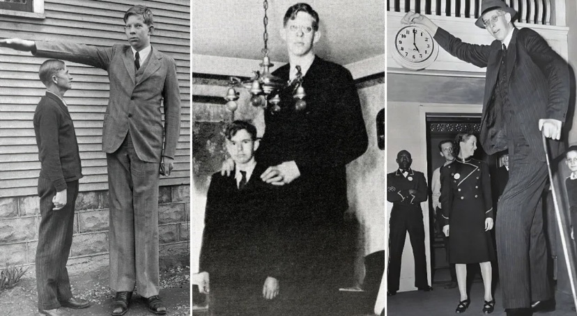 Роберт Уодлоу (США)