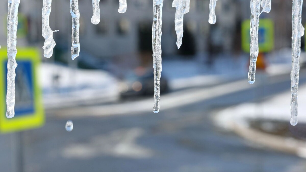    Фото: Андрей Ткачев/«Ямал-Медиа»