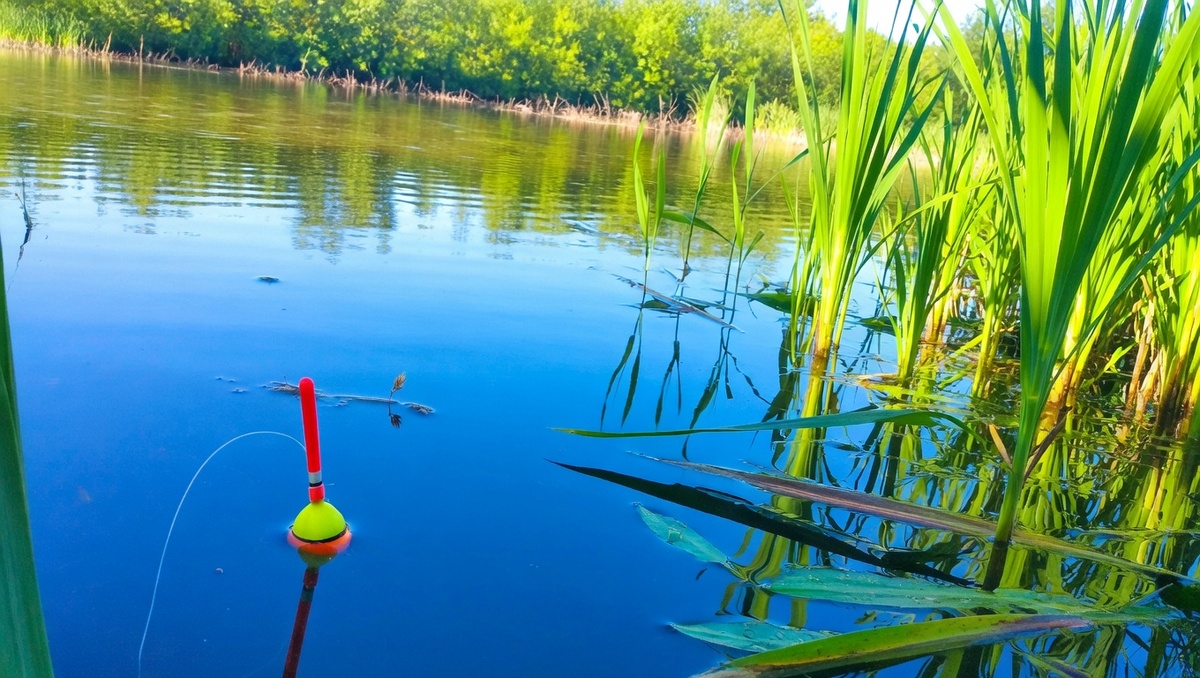 Поплавок с двумя точками крепления