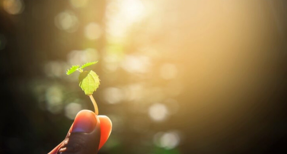 "У меня 12 лет между родами".