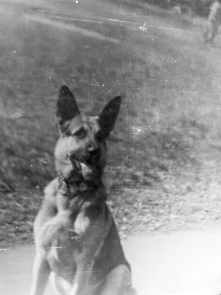 фото из личного архива