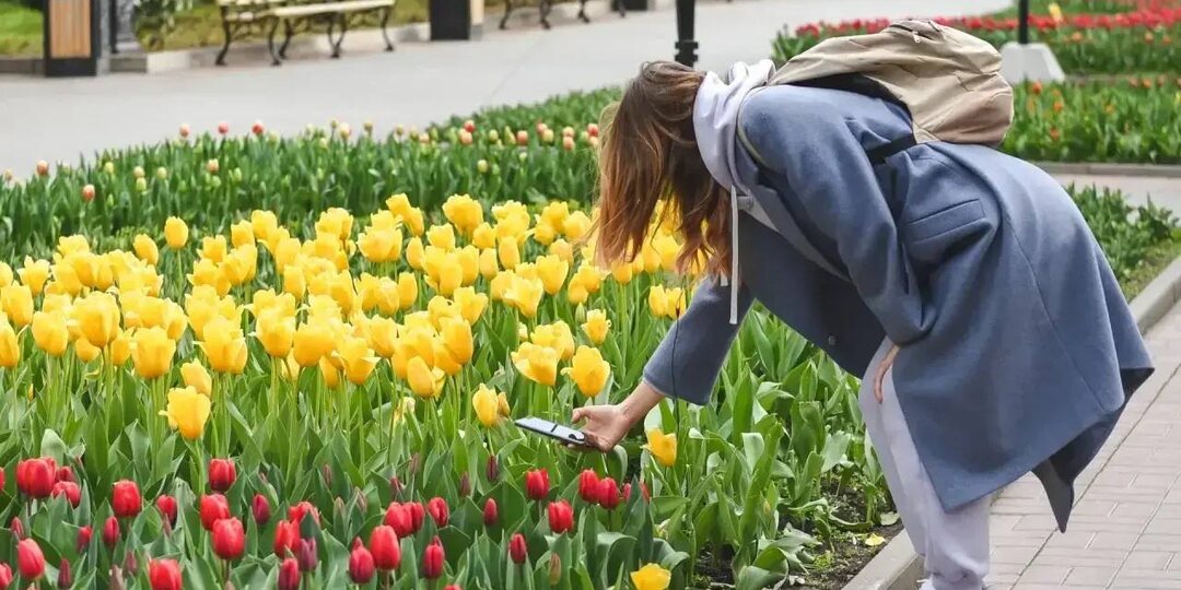 Севастопольцы, готовьте телефоны – город расцветает