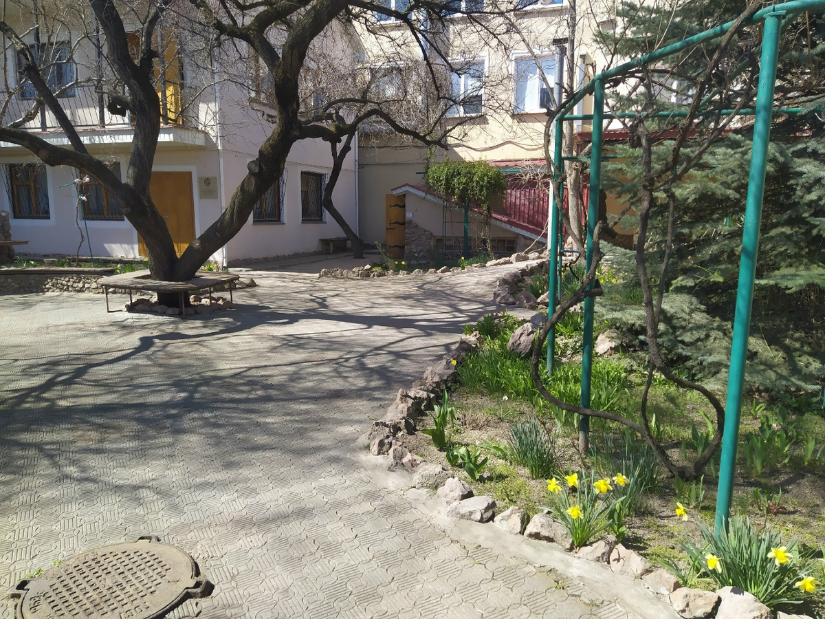 Дворик "Хайдельберг-центра" встречает весенним уютом. Цветёт абрикос и нарциссы. Можно разглядеть подснежник. Наверное, последний в этом году... (с) Фото: Н. Остапцов
