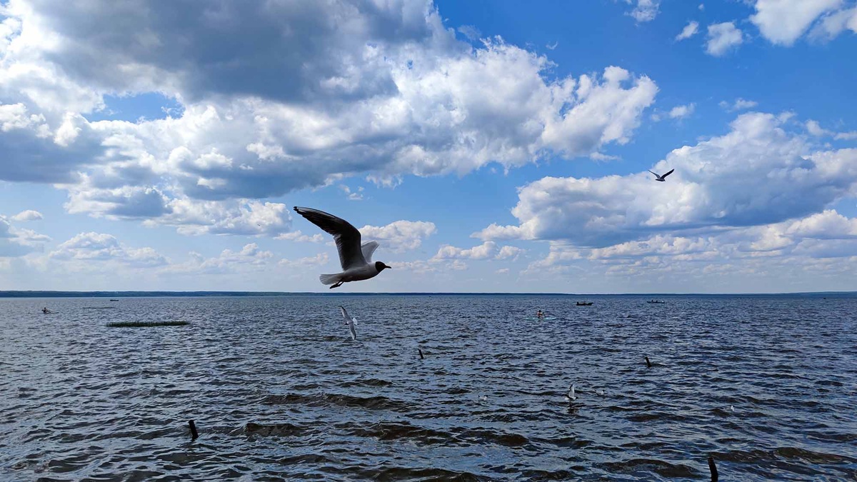 Переславль-Залесский и озеро Плещеево уже давно стали точками притяжения для туристов. В ближайшие годы здесь появится крупнейший экокурорт "Золотого кольца России"