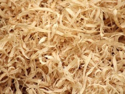    Из опилок сделали огнестойкие строительные панели